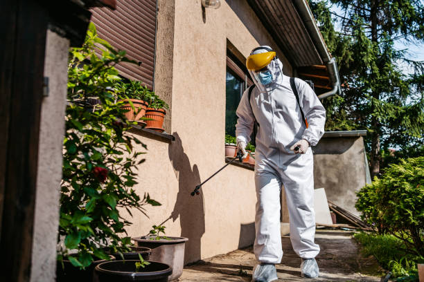 Best Pest Prevention Services  in Beaver, WV